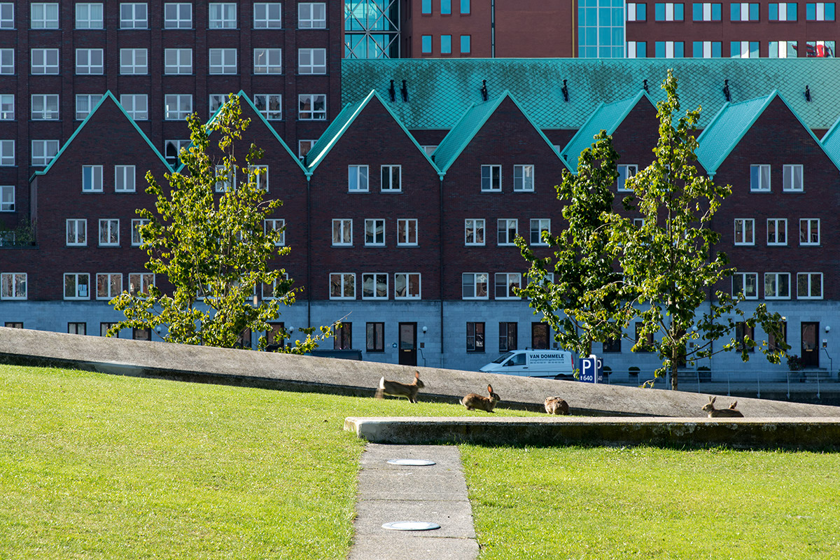 %_tempFileName2013-09-30-200RULsek%