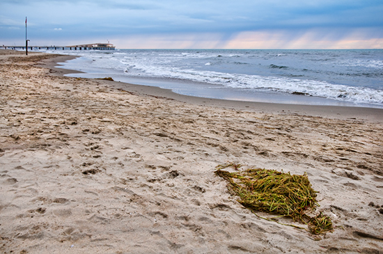 %_tempFileName2009-09-20-25RLTNoV%