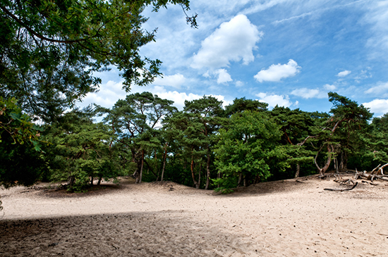 %_tempFileName2011-06-12-119RViVT%