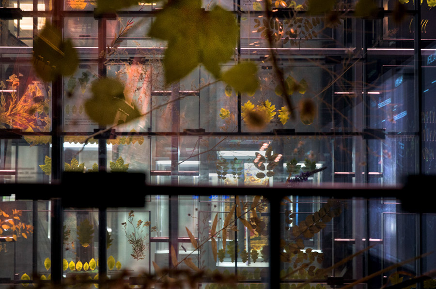 %_tempFileName2012-04-21-198RUViV%