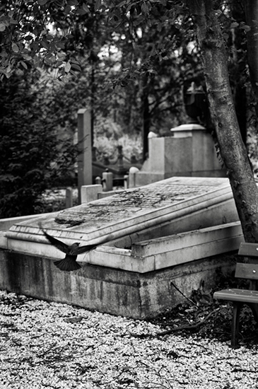 %_tempFileName2011-02-18-15RUViSeP%