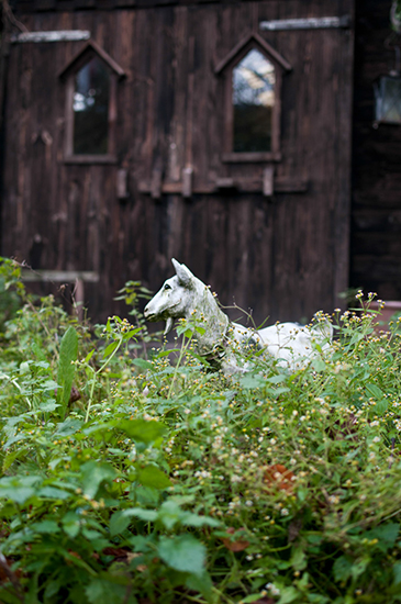 %_tempFileName2010-11-20-15R%